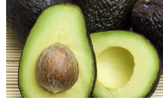 Avocado cut in half